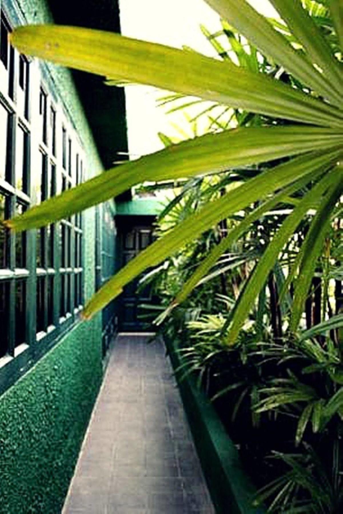 Rainforest Bed & Breakfast Kuala Lumpur Exterior foto